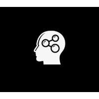 Diverging Insights logo - Similar company to Rubus Group