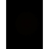 Boris Hotel logo - Similar company to Ress Group A.Ş