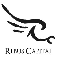 Rebus Capital logo - Similar company to Innovative Advisory Group