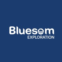 Bluesom Exploration logo - Similar company to Mandela Institute