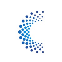 CyberAntix logo - Similar company to Cyber1 Solutions - South Africa