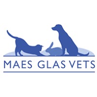 MAES GLAS VETS logo - Similar company to Global Tooling Solutions Ltd