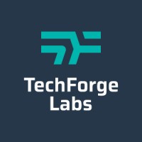 TechForgeLabs logo - Similar company to Vibesoft