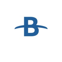 BlueWhiteiBridge Ventures logo - Similar company to The Piston Foundation
