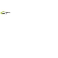 Chartered Semiconductor