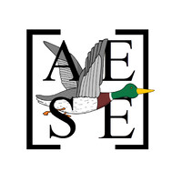 AESE - ESG logo - Similar company to Aese-Uqam