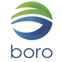 Corporativo Boro logo - Similar company to Angar Export Sa De Cv
