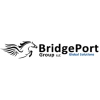 BridgePort Group logo - Similar company to Arya Llc
