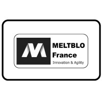 MELTBLO France logo - Similar company to Tectex S.R.L.