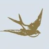 Premier Planning Services, Inc. logo - Similar company to Hendrickson Foundation