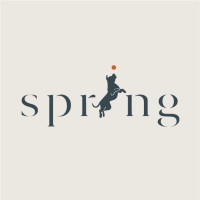 Spring Brand Consulting logo - Similar company to Spring Brand Solutions