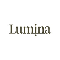 Lumina logo - Similar company to Developmentplus