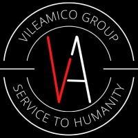 Vile Amico Group logo - Similar company to Ongoti Tech Solutions