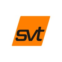 svt Group of Companies logo - Similar company to Flamro Bv