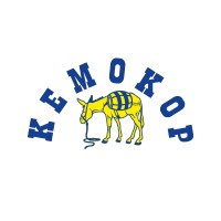 Kemokop d.o.o. logo - Similar company to Igp Solutions Sarajevo