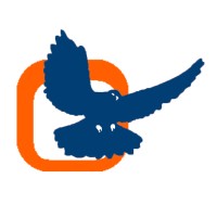 Capfind sas logo - Similar company to Mayo App