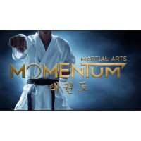 Momentum Martial Arts / Taekwondo logo - Similar company to The Warrior Academy