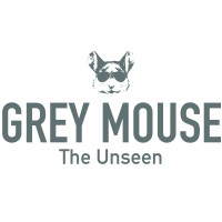 Grey-Mouse logo - Similar company to Global Tc Group Bv