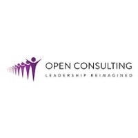 Open Consulting Group - India logo - Similar company to My Persona™