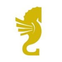 International Uşak Short Film Festival logo - Similar company to Ubdi̇t- Uşak Büyükbaş Deri İşleme Tesisi