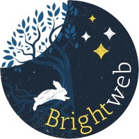 Brightweb Design logo - Similar company to Brightweb.Creations