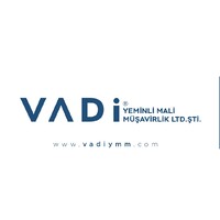 VADİ YEMİNLİ MALİ MÜŞAVİRLİK LTD. ŞTİ. logo - Similar company to Infratech Esp