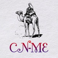 CNME Ltd. logo - Similar company to Computer Networks At Ease