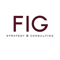 FIG Strategy & Consulting logo - Similar company to Adaptivex