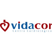 Vidacor logo - Similar company to Netcase Ltd