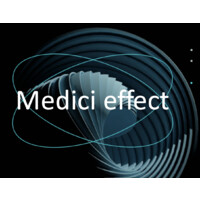 Medici Effect logo - Similar company to Devmatcher