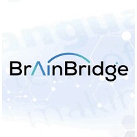 BrainBridge logo - Similar company to Chatgpt Education