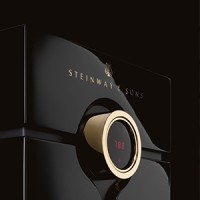 Steinway Lyngdorf logo - Similar company to Q - Ict Services B.V.