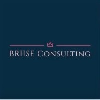BRIISE Consulting logo - Similar company to Leadkompagniet