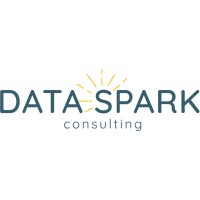 Data Spark Consulting logo - Similar company to Talent Solutions Group
