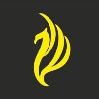 Phoenix Security logo - Similar company to Tn Services