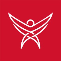 The Wingman logo - Similar company to Idoo World