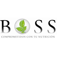 Boss Food and Services logo - Similar company to La Gamuza