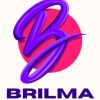 Brilma logo - Similar company to Weixeltech