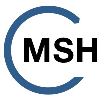MSH Medien System Haus GmbH & Co. KG logo - Similar company to German Autolabs
