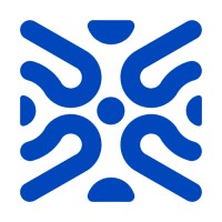BalticNOG logo - Similar company to Netyce