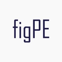 figPE -coding art logo - Similar company to Taoltech