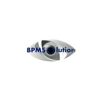 BPMSolution Business Consulting logo - Similar company to N7V
