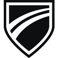 Palladino Auto Group logo - Similar company to Psg Canada