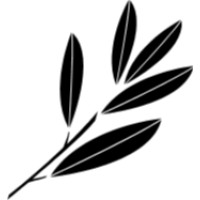 Affordmed logo - Similar company to Expent
