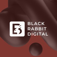 Black Rabbit Digital logo - Similar company to Spn Advisors Llp