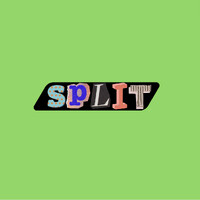 State Privacy Law Information Tracker (Split)
