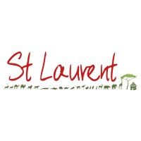 Saint Laurent logo - Similar company to Limecode