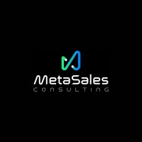 METASALES CONSULTING logo - Similar company to D&Fi Groupe