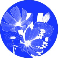 What About Motion ? logo - Similar company to Studio Lamadone