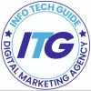Info Tech Guide logo - Similar company to Gptscore